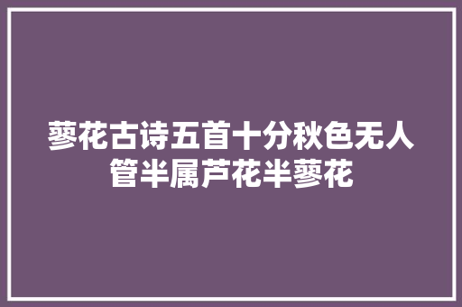 蓼花古诗五首十分秋色无人管半属芦花半蓼花