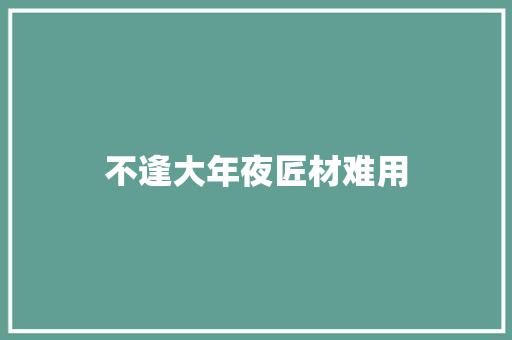 不逢大年夜匠材难用