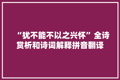 “犹不能不以之兴怀”全诗赏析和诗词解释拼音翻译