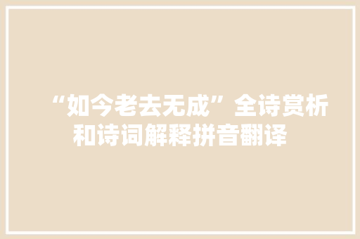 “如今老去无成”全诗赏析和诗词解释拼音翻译