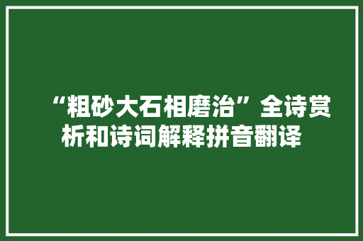 “粗砂大石相磨治”全诗赏析和诗词解释拼音翻译