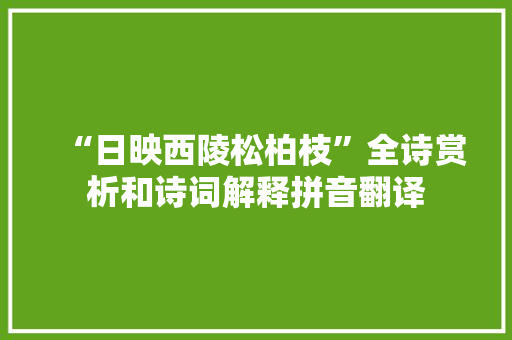 “日映西陵松柏枝”全诗赏析和诗词解释拼音翻译