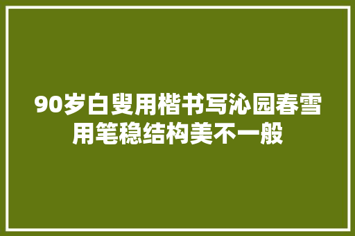 90岁白叟用楷书写沁园春雪用笔稳结构美不一般