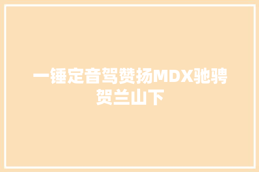 一锤定音驾赞扬MDX驰骋贺兰山下