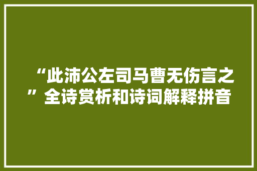 “此沛公左司马曹无伤言之”全诗赏析和诗词解释拼音翻译