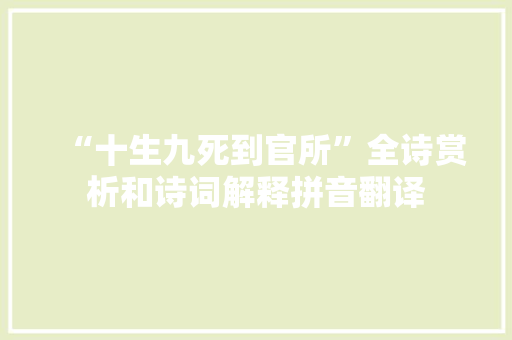 “十生九死到官所”全诗赏析和诗词解释拼音翻译