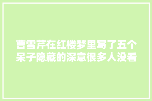 曹雪芹在红楼梦里写了五个呆子隐藏的深意很多人没看出来