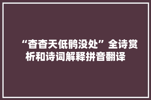 “杳杳天低鹘没处”全诗赏析和诗词解释拼音翻译