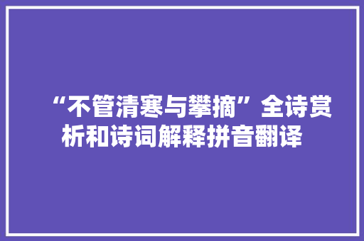 “不管清寒与攀摘”全诗赏析和诗词解释拼音翻译