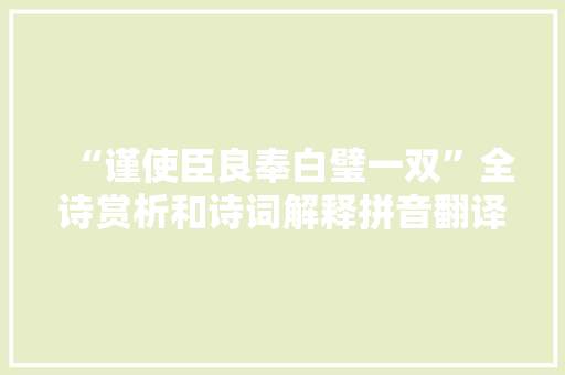 “谨使臣良奉白璧一双”全诗赏析和诗词解释拼音翻译