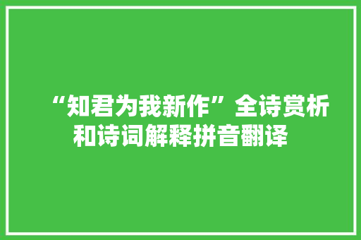 “知君为我新作”全诗赏析和诗词解释拼音翻译