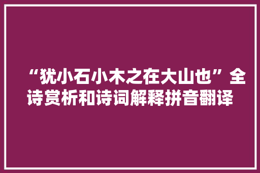 “犹小石小木之在大山也”全诗赏析和诗词解释拼音翻译