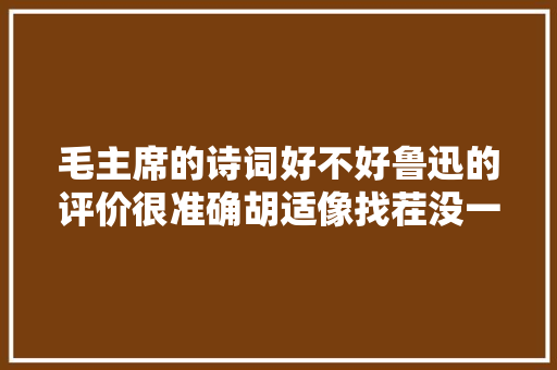 毛主席的诗词好不好鲁迅的评价很准确胡适像找茬没一句通顺