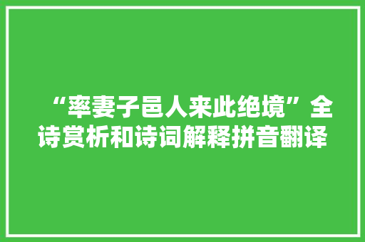 “率妻子邑人来此绝境”全诗赏析和诗词解释拼音翻译