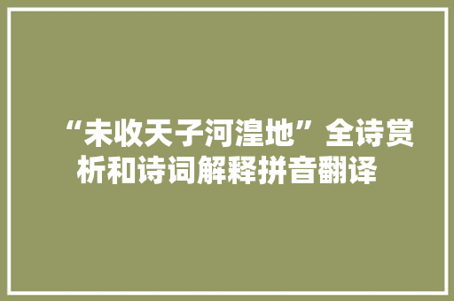 “未收天子河湟地”全诗赏析和诗词解释拼音翻译