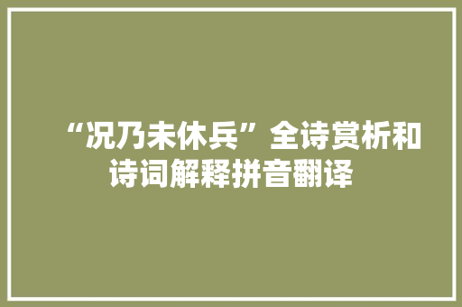 “况乃未休兵”全诗赏析和诗词解释拼音翻译