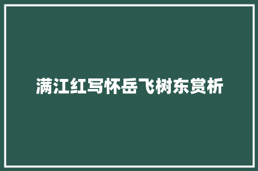 满江红写怀岳飞树东赏析