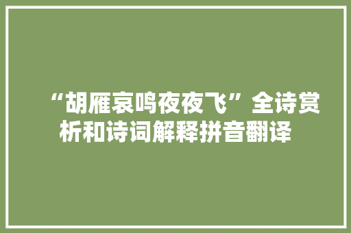 “胡雁哀鸣夜夜飞”全诗赏析和诗词解释拼音翻译