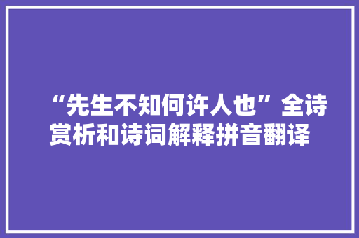 “先生不知何许人也”全诗赏析和诗词解释拼音翻译