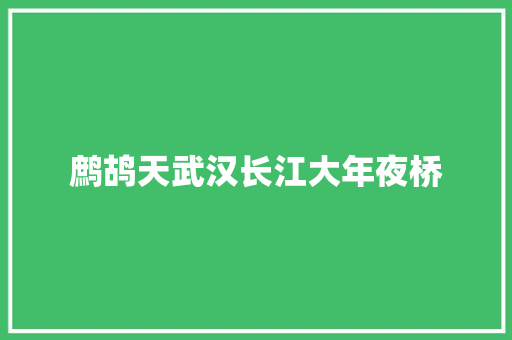 鹧鸪天武汉长江大年夜桥