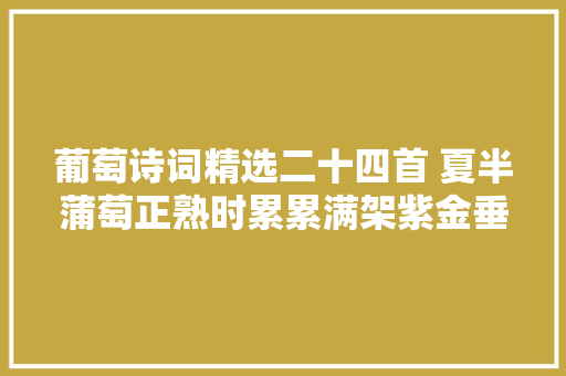 葡萄诗词精选二十四首 夏半蒲萄正熟时累累满架紫金垂