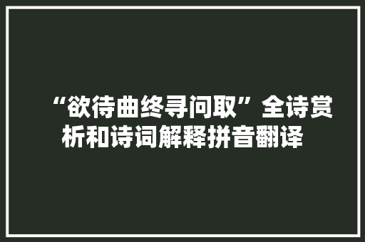 “欲待曲终寻问取”全诗赏析和诗词解释拼音翻译