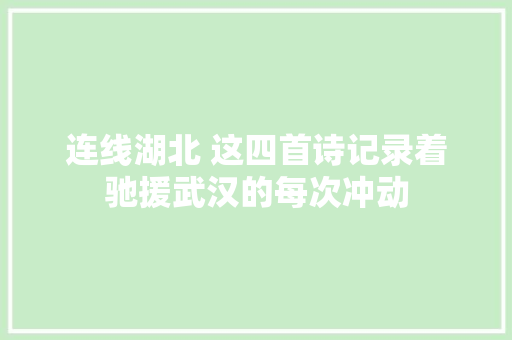 连线湖北 这四首诗记录着驰援武汉的每次冲动