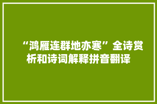 “鸿雁连群地亦寒”全诗赏析和诗词解释拼音翻译