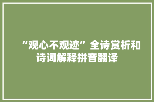 “观心不观迹”全诗赏析和诗词解释拼音翻译