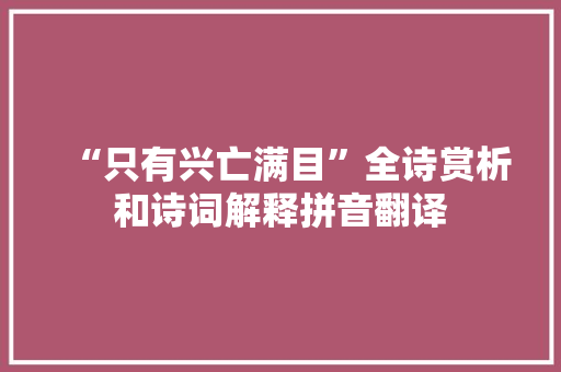 “只有兴亡满目”全诗赏析和诗词解释拼音翻译