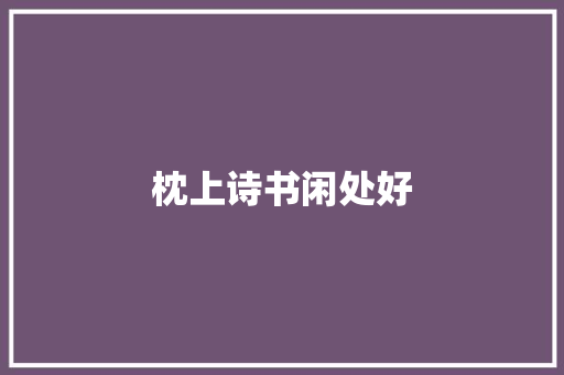 枕上诗书闲处好