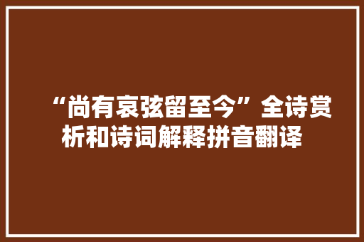 “尚有哀弦留至今”全诗赏析和诗词解释拼音翻译