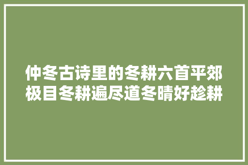 仲冬古诗里的冬耕六首平郊极目冬耕遍尽道冬晴好趁耕