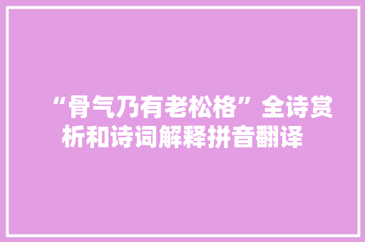 “骨气乃有老松格”全诗赏析和诗词解释拼音翻译