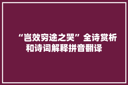 “岂效穷途之哭”全诗赏析和诗词解释拼音翻译