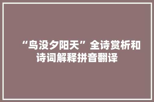 “鸟没夕阳天”全诗赏析和诗词解释拼音翻译