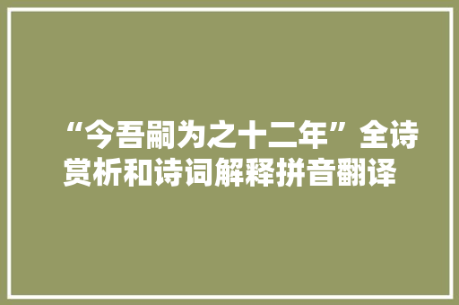“今吾嗣为之十二年”全诗赏析和诗词解释拼音翻译