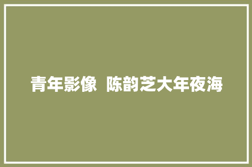 青年影像  陈韵芝大年夜海