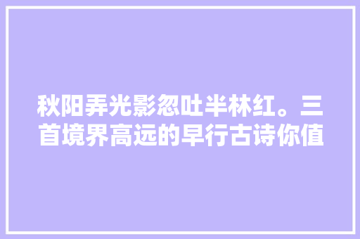 秋阳弄光影忽吐半林红。三首境界高远的早行古诗你值得品读