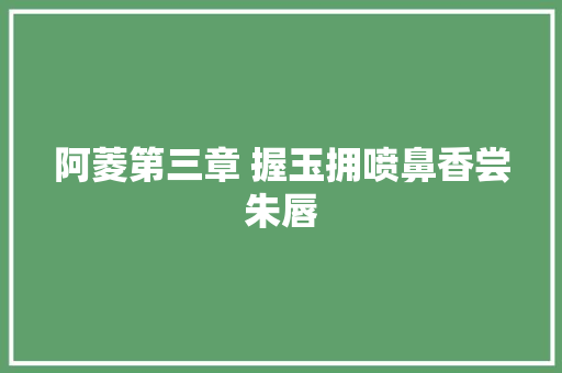 阿菱第三章 握玉拥喷鼻香尝朱唇
