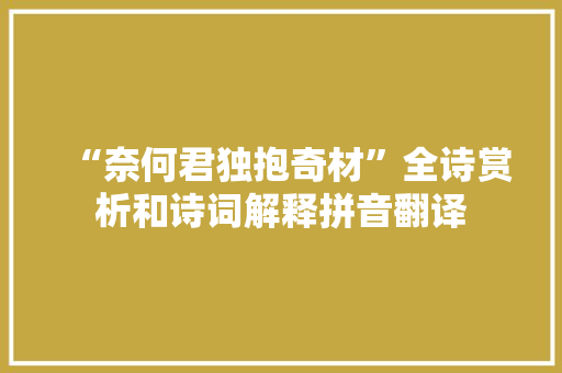 “奈何君独抱奇材”全诗赏析和诗词解释拼音翻译