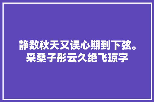 静数秋天又误心期到下弦。采桑子彤云久绝飞琼字