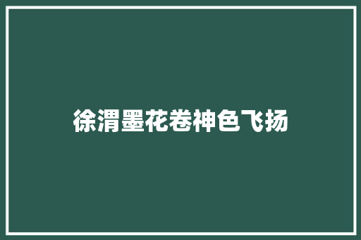 徐渭墨花卷神色飞扬