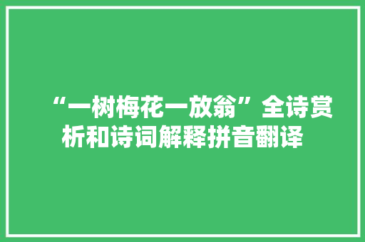 “一树梅花一放翁”全诗赏析和诗词解释拼音翻译
