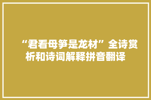 “君看母笋是龙材”全诗赏析和诗词解释拼音翻译