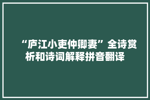 “庐江小吏仲卿妻”全诗赏析和诗词解释拼音翻译