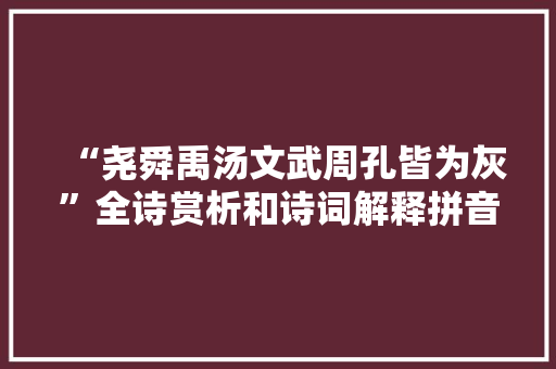 “尧舜禹汤文武周孔皆为灰”全诗赏析和诗词解释拼音翻译