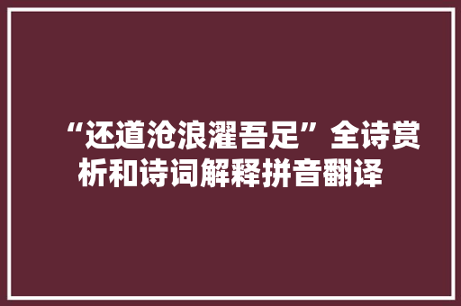 “还道沧浪濯吾足”全诗赏析和诗词解释拼音翻译