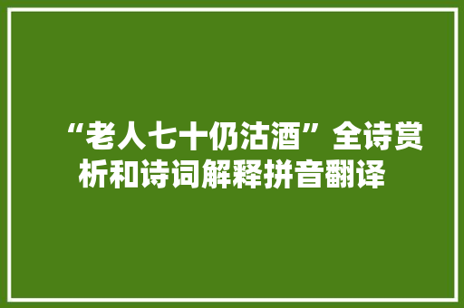 “老人七十仍沽酒”全诗赏析和诗词解释拼音翻译