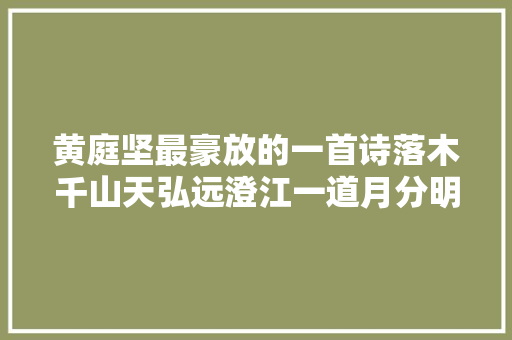 黄庭坚最豪放的一首诗落木千山天弘远澄江一道月分明